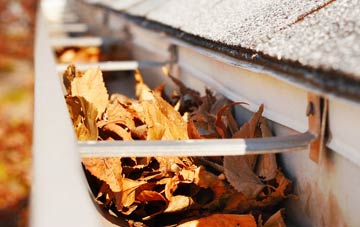 Abbotsley gutter cleaning companies