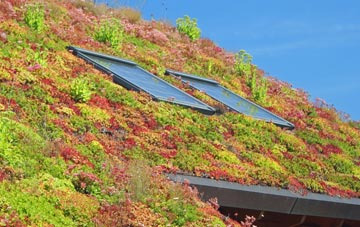 Abbotsley living roof systems