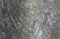 Abbotsley fibreglass roof work